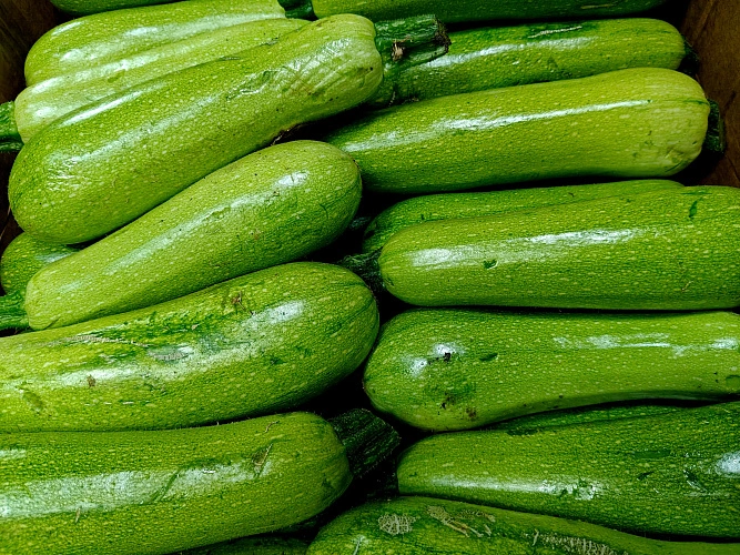 Фото: кабачки на Северном рынке // фото 1rnd
