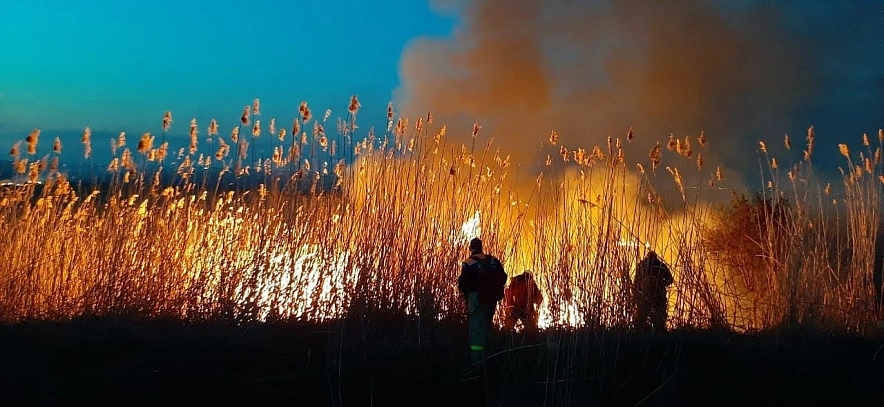 Фото: Горящий камыш под Ростовом