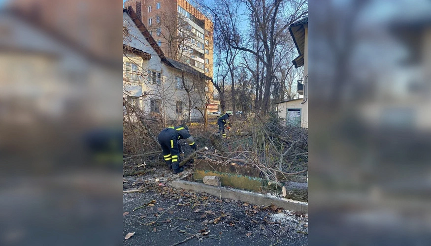 Фото: Администрации города Ростова-на-Дону