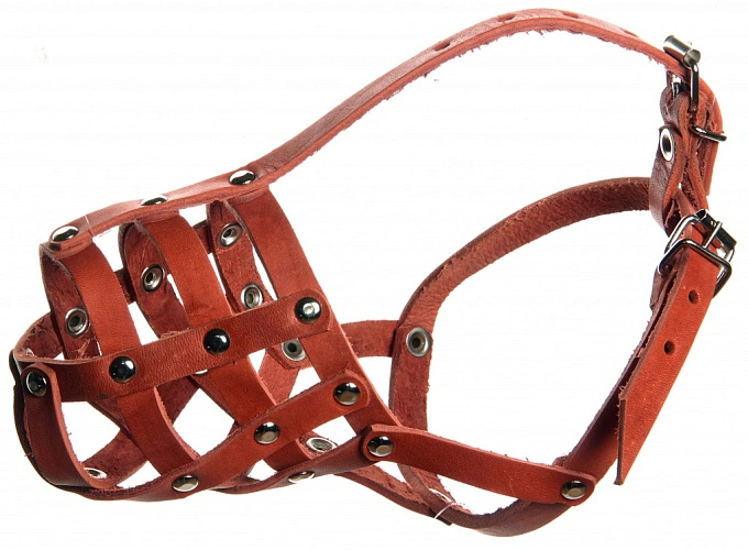 Фото: намордник \\ кадр из публикаций 1rnd.ru