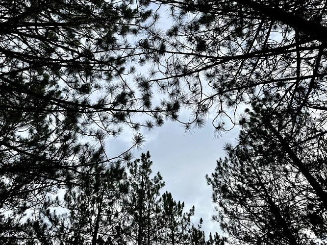 Фото: кадр 1Rnd