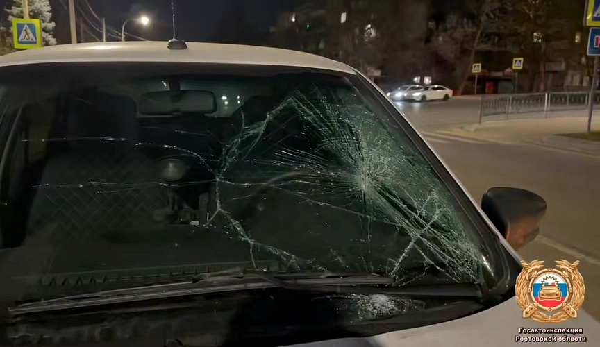 Фото: кадр донской Госавтоинспекции 