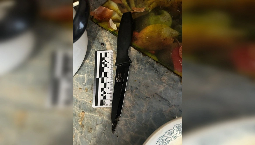 Фото: МВД по Ростовской области 