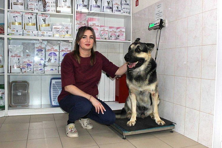 Фото: Правительство Ростовской области 