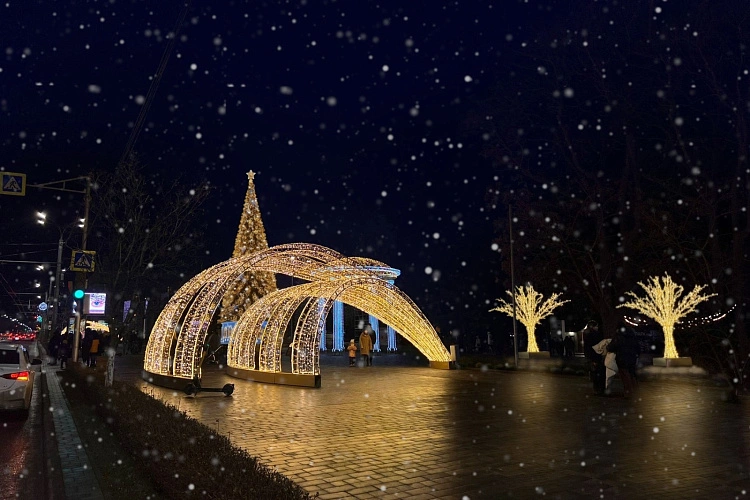 Фото: В Ростове к Новому году впервые украсят мосты световыми гирляндами длиной в 4 км // фото Управления наружной рекламы Ростова