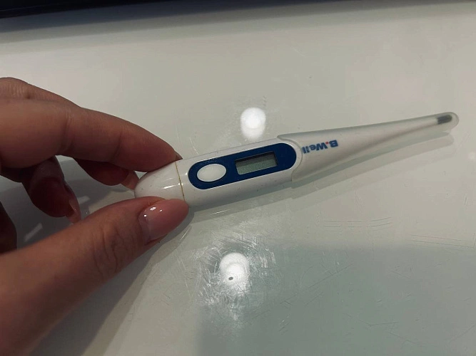 Фото: редакции 1rnd.ru