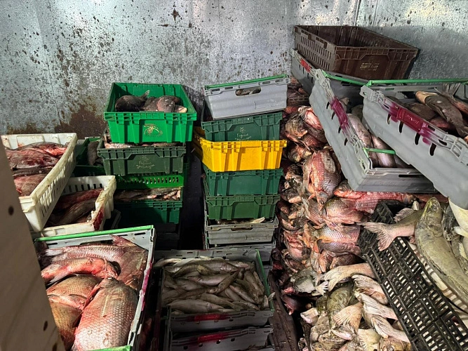 Фото: пресс-служба ГУ МВД Ростовской области