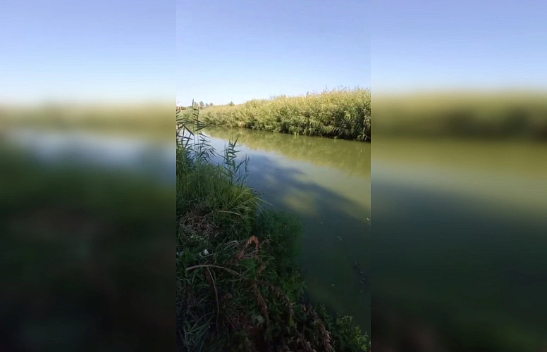 Фото: ТГ канала "БАТАЙСК ГОРОД"