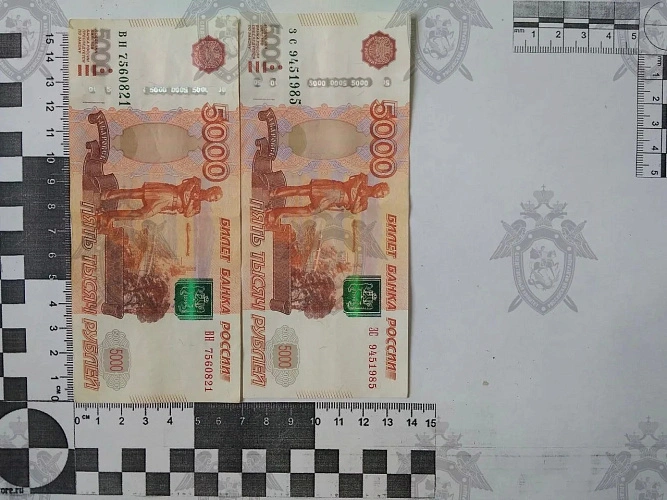 Фото: Ростовский следком