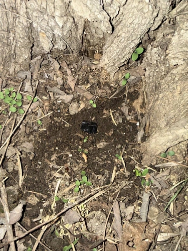 Фото: ГУ МВД РФ по РО