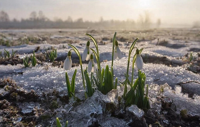 Фото: создано нейросетью