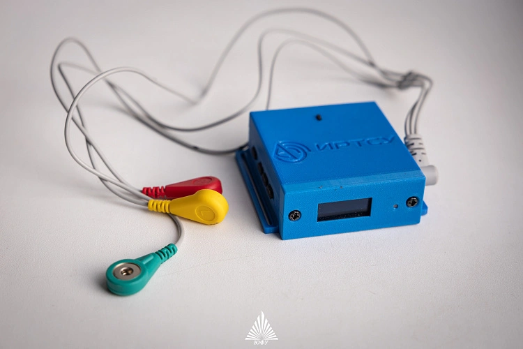 Фото: пресс-центр ЮФУ