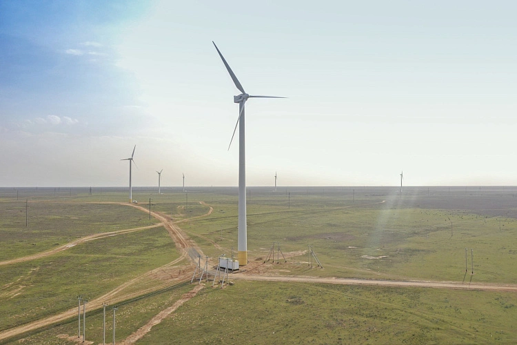 Фото: правительства РО 