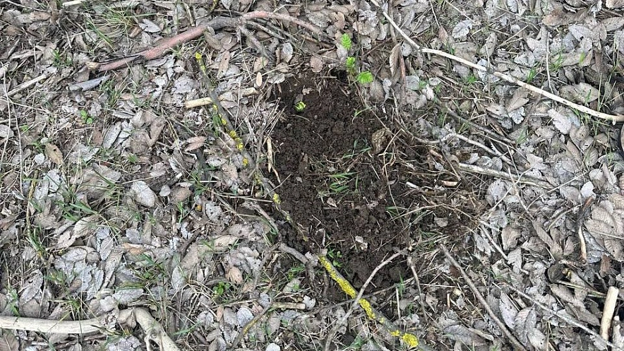 Фото: ГУ МВД РФ по РО