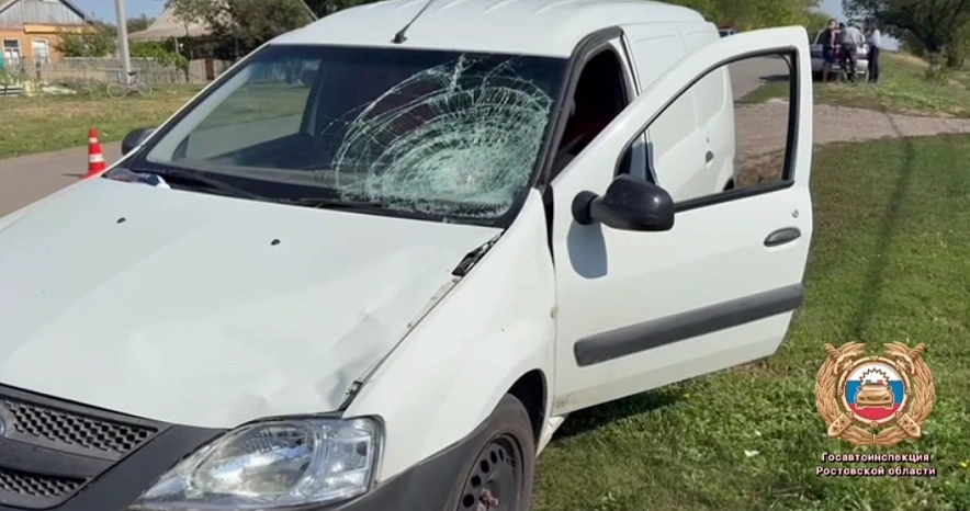 Фото: скрин из видео Госавтоинспекция Ростовской области