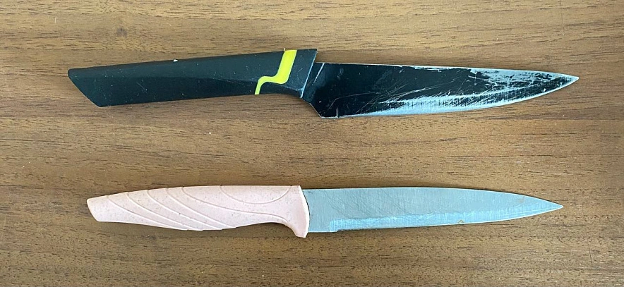 Фото: кадр ГУ МВД по РО