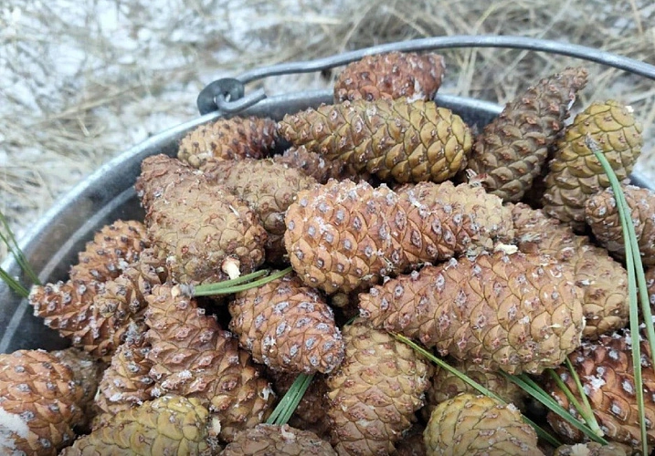 Фото: Минприроды Ростовской области