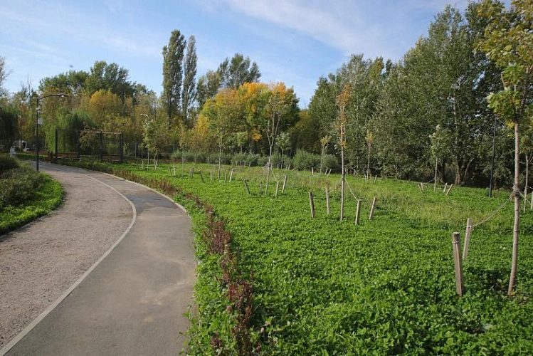 Фото: Пресс-служба губернатора РО