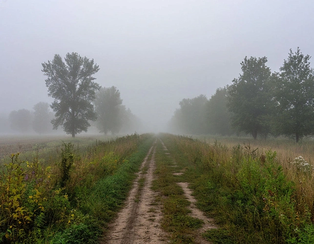 Фото: нейросеть 