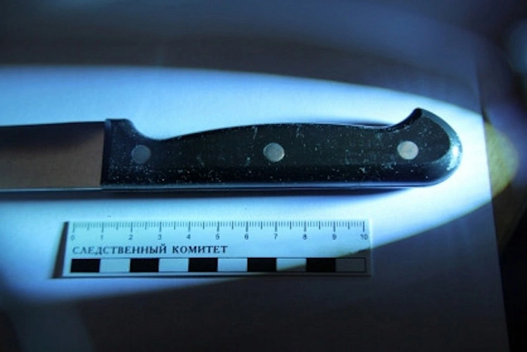 Фото: нож // фото СУСК РФ по РО