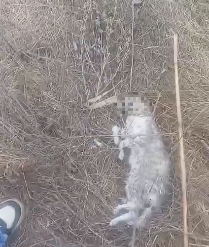 Фото: соцсети