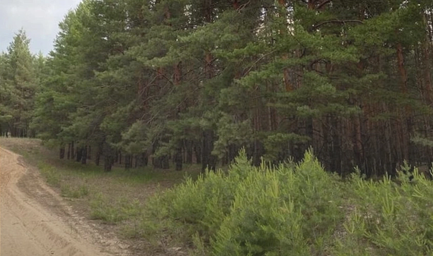 Фото: из архива Минприроды Ростовской области