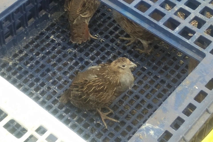 Фото: Правительство Ростовской области 