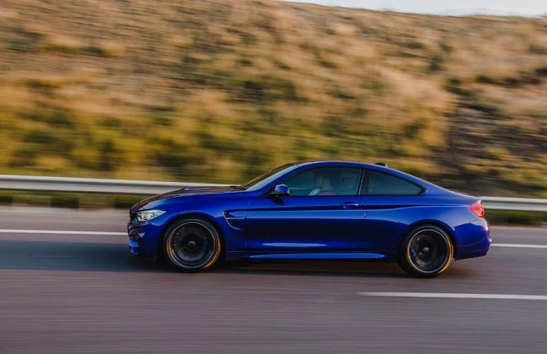 Фото: freepik.com