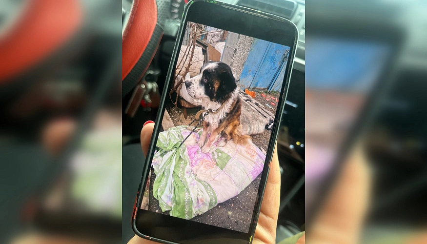 Фото: ТГ канала «БАТАЙСК ГОРОД»