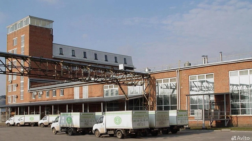 Фото: с сайта Avito