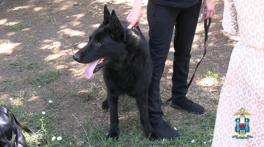 Фото: кадр из видео