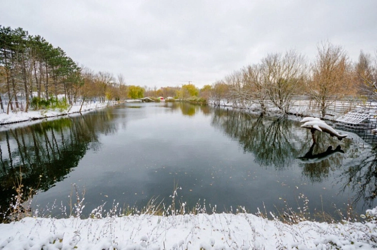 Фото: Ростовский зоопарк \\ фото с сайта mmgp.ru.zoopark-rostov.ru