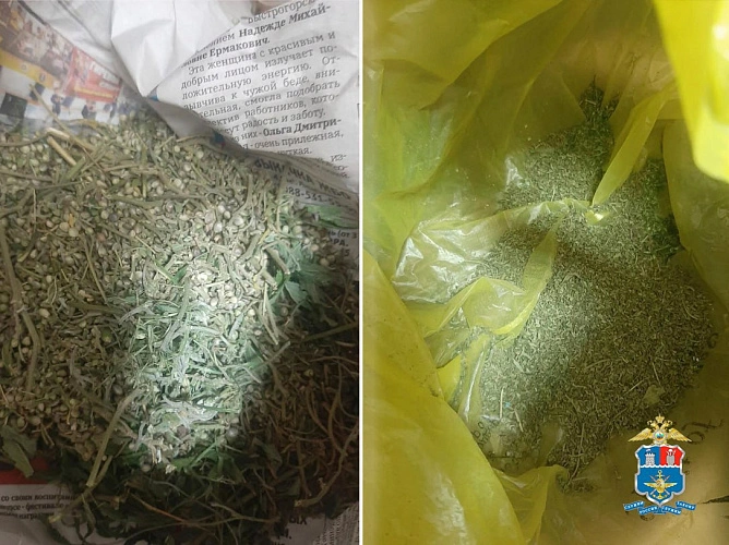 Фото: пресс-служба УТ МВД России по СКФО