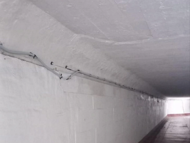 Фото: подземный переход // фото администрации Ростова 