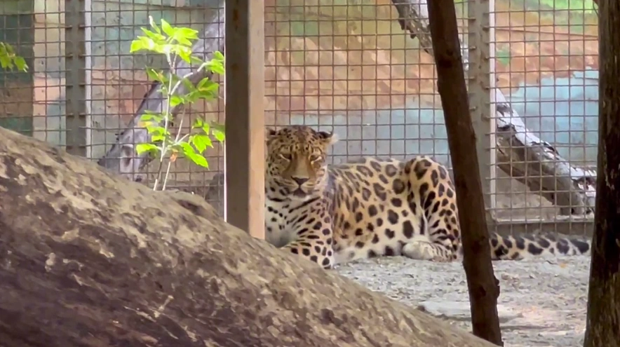 Фото: Ростовский-на-Дону зоопарк