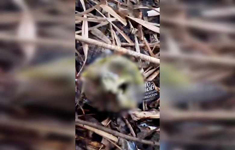 Фото: ТГ канала «Это Ростов новости»