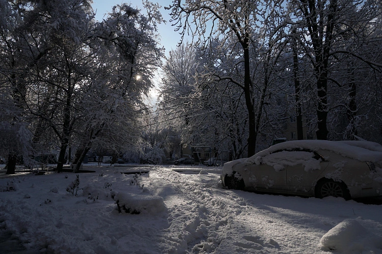 Фото: снежно-морозный пейзаж в Ростове, кадр 1rnd