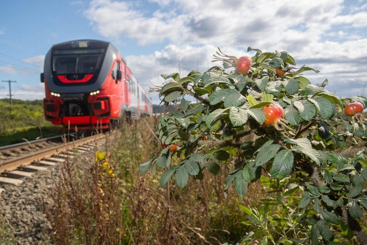 Фото: из архива РЖД