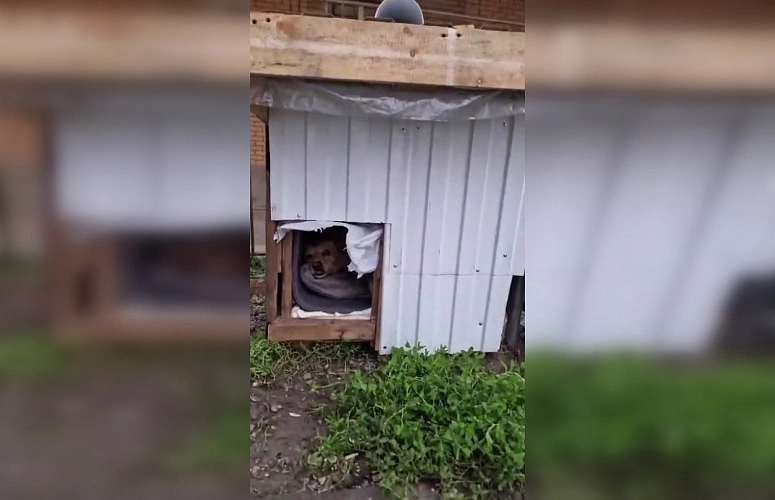 Фото: ТГ канала «БАТАЙСК ГОРОД»