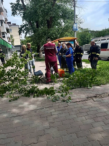 Фото: кадр из социальных сетей