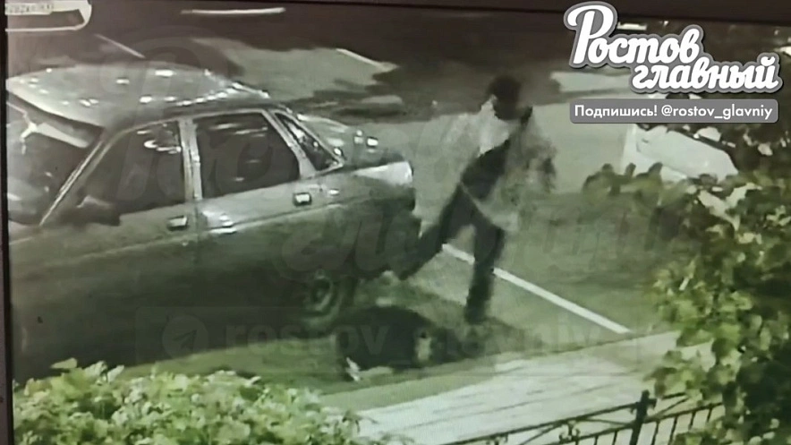 Фото: rostov_glavniy/vk.com