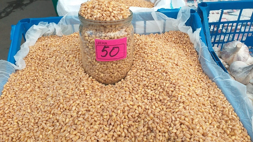 Фото: пшеница на кутью // кадр 1rnd