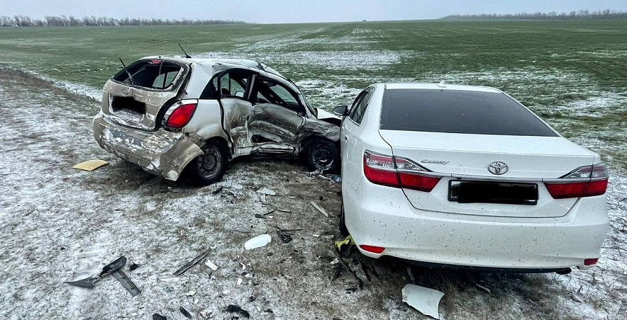 Фото: Смертельное ДТП в Орловке, кадр ГИБДД РО