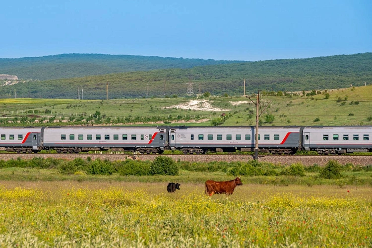 Фото: Telegram-канал Гранд Экспресс Сервис