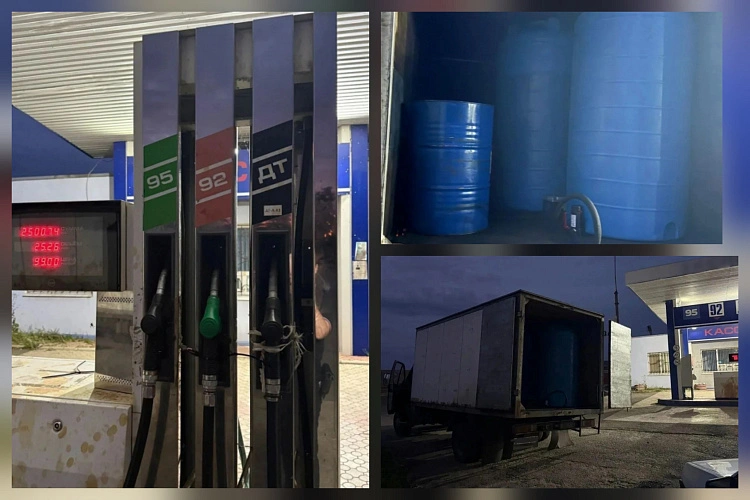 Фото: ГУ МВД РФ по РО