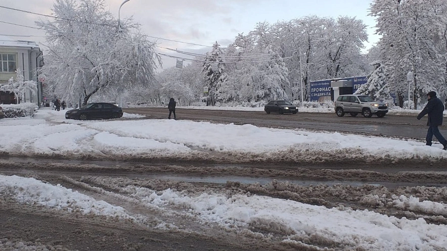 Фото: снег в Ростове // кадр 1rnd