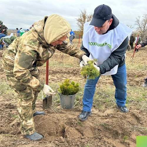 Фото: Минприроды Ростовской области