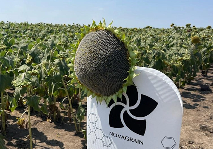 Фото: пресс-службы банка