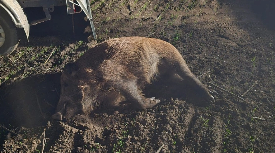 Фото: министерство природных ресурсов и экологии РО