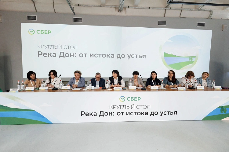 Фото: В Ростове обсудили вопросы сохранения реки Дон эксперты в области экологии, бизнеса и науки / фото пресс-служба Сбера